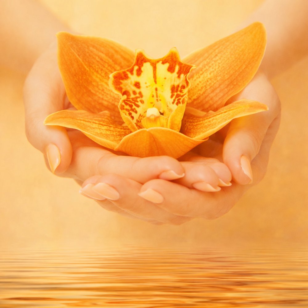 Vulvodynie und Vaginismus – Ganzheitliche Begleitung bei Schmerzen im Intimbereich